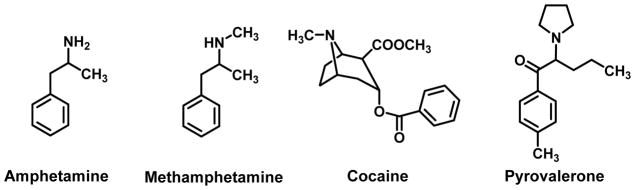 Neurobiology of 3,4-Methylenedioxypyrovalerone (MDPV) and α ...