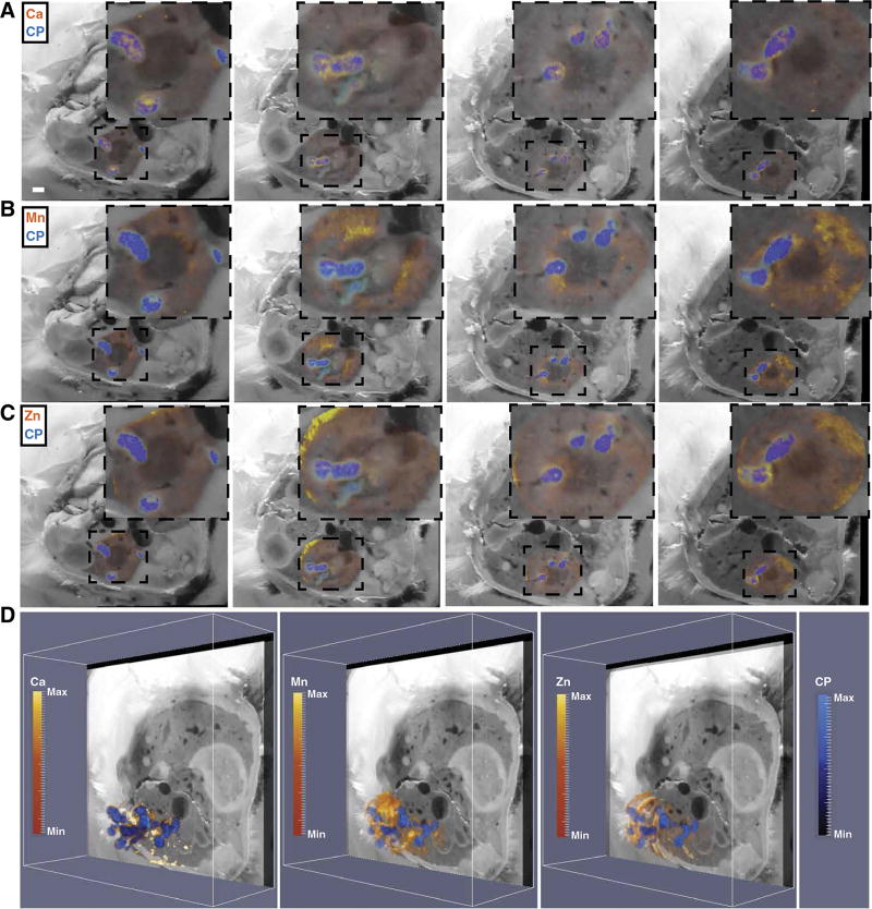 Fig. 6