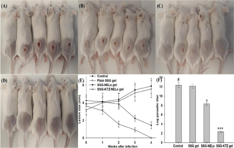 Fig. 14