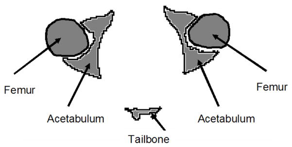 Fig. 11