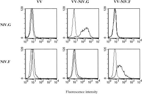 FIG. 1.