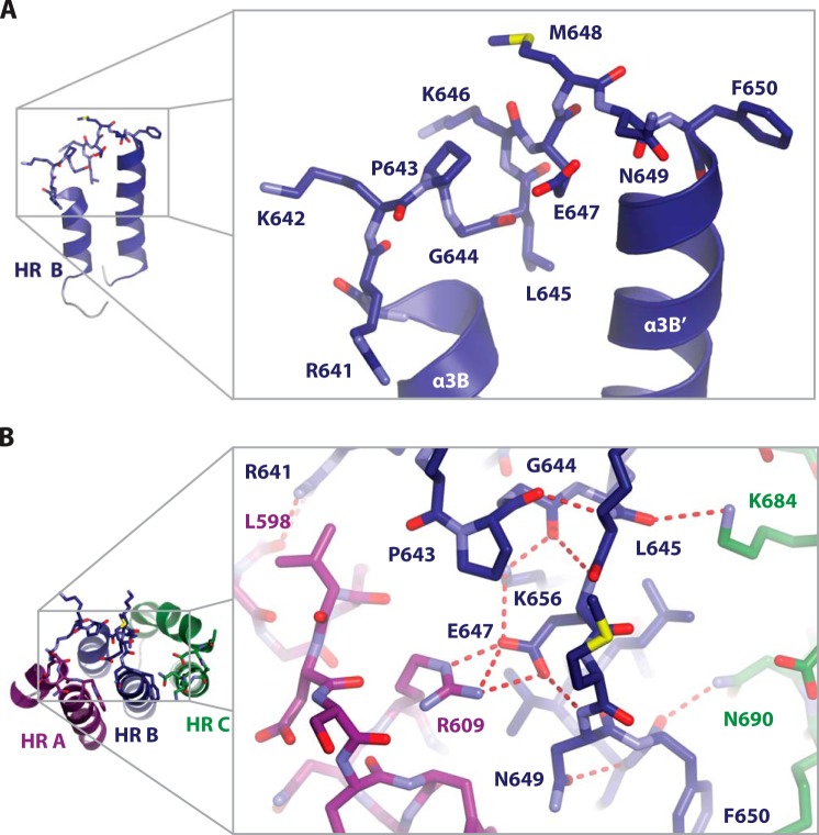 FIGURE 5.