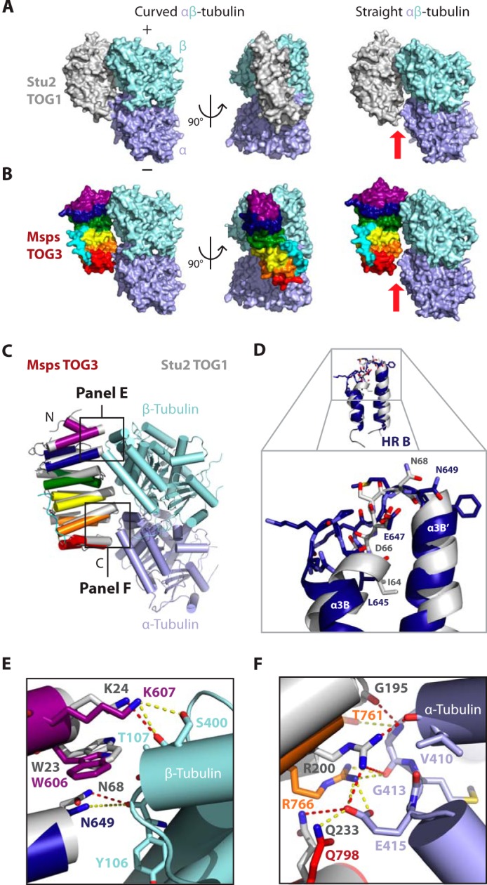 FIGURE 7.