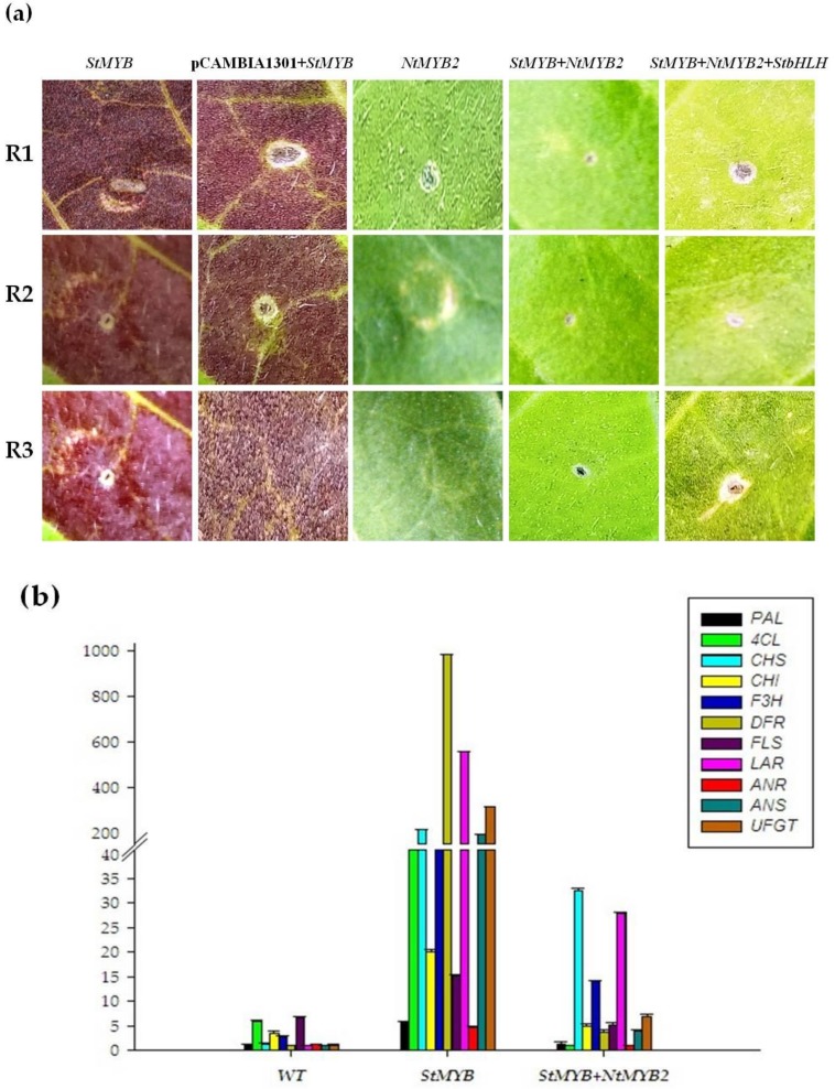 Figure 4