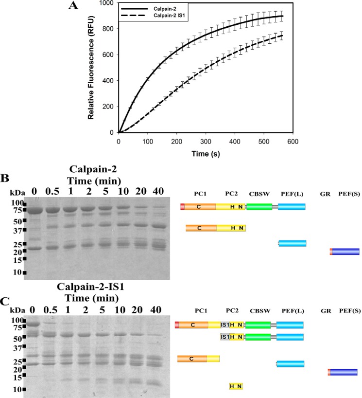 Figure 4.