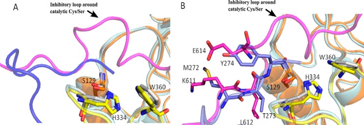 Figure 9.