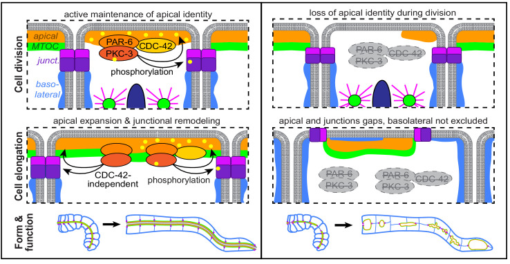 Figure 10.