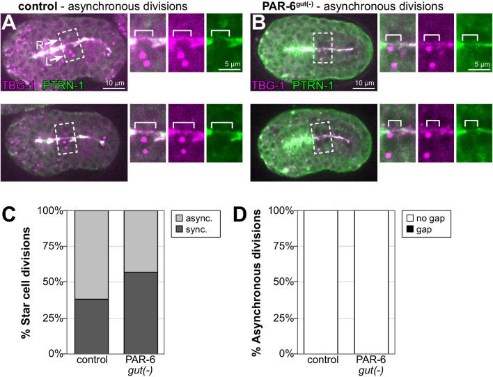 Figure 2—figure supplement 2.