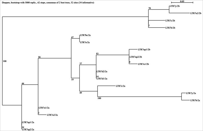 Figure 4—figure supplement 1.