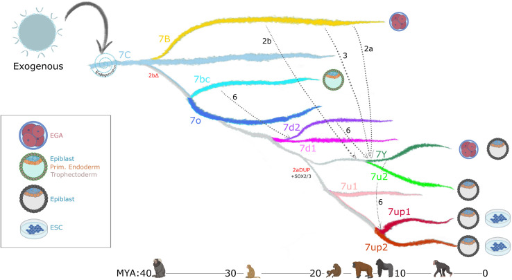 Figure 7.