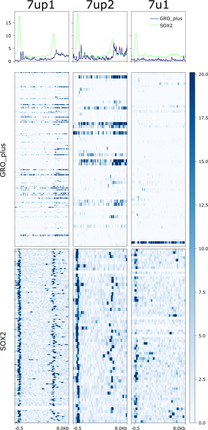 Figure 6—figure supplement 2.