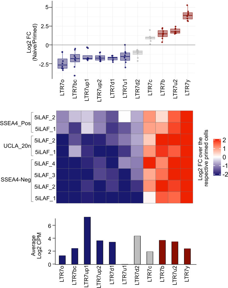 Figure 5—figure supplement 2.