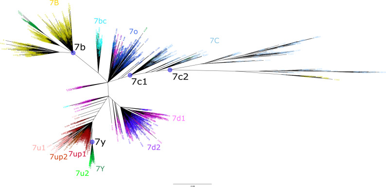 Figure 5—figure supplement 1.