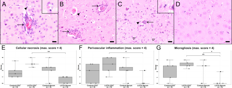 Figure 6