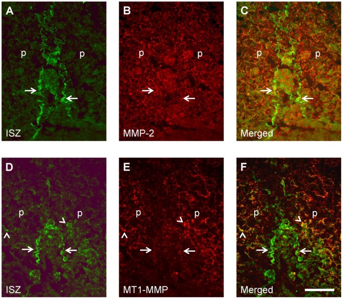 Figure 10