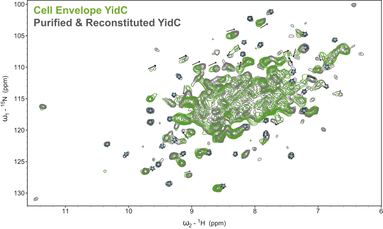 Figure 3