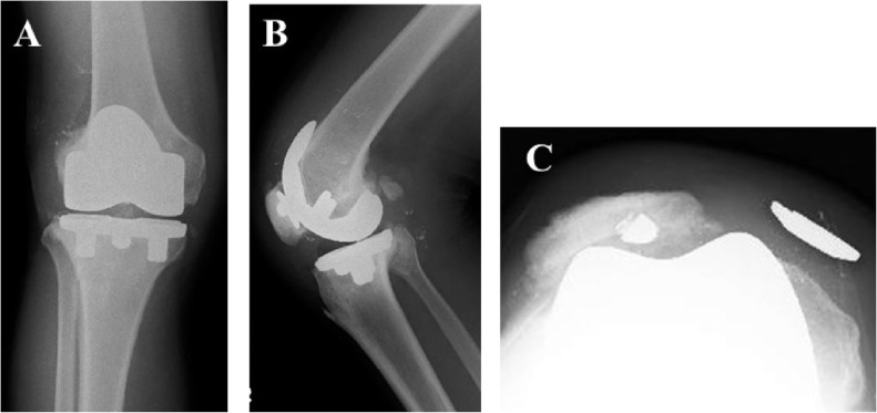 Fig. 5