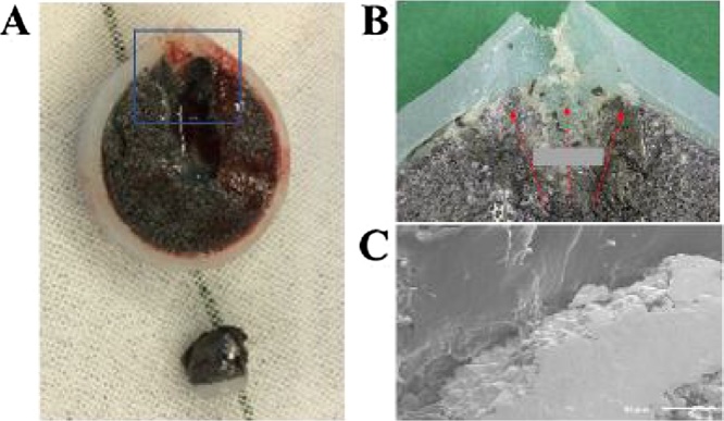 Fig. 7