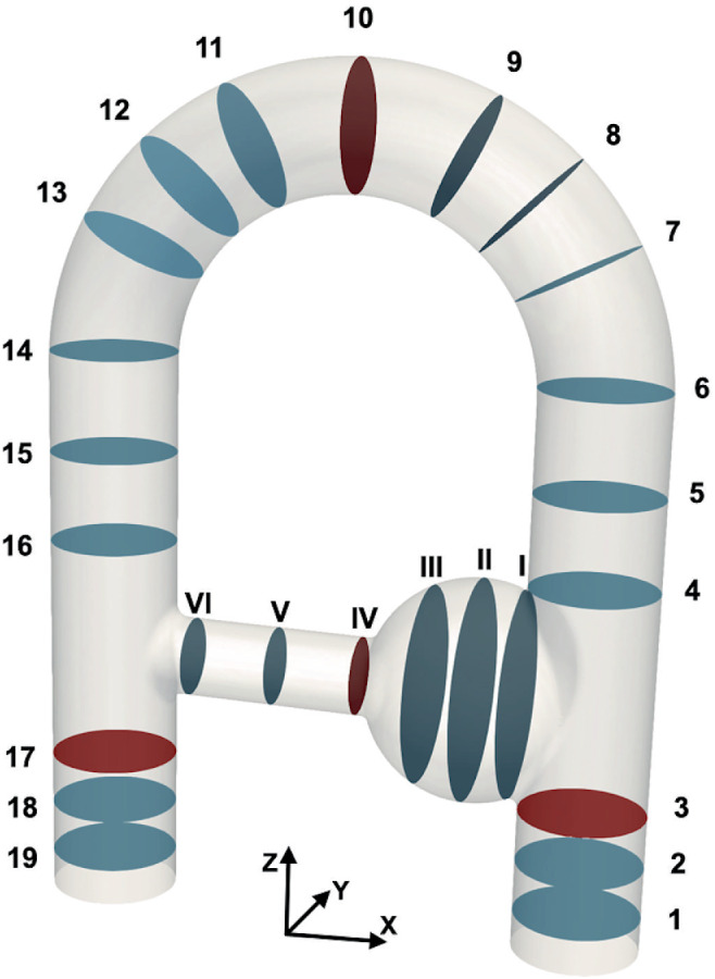 MRM-29404-FIG-0003-c