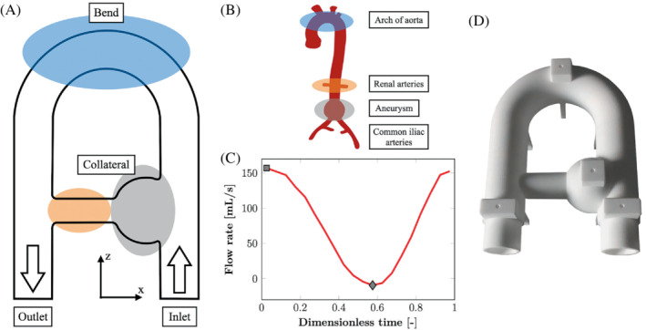 MRM-29404-FIG-0001-c