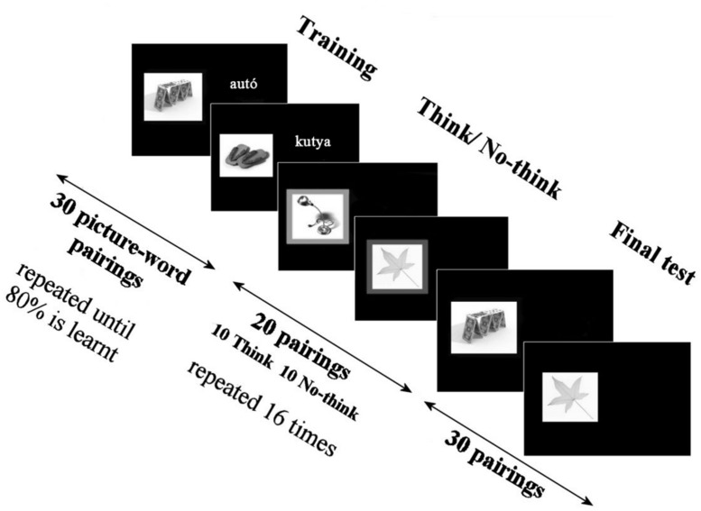 FIGURE 1