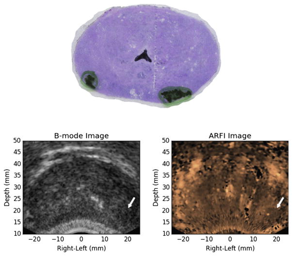 Fig. 7