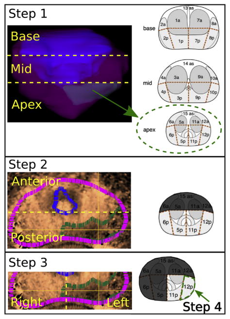 Fig. 3