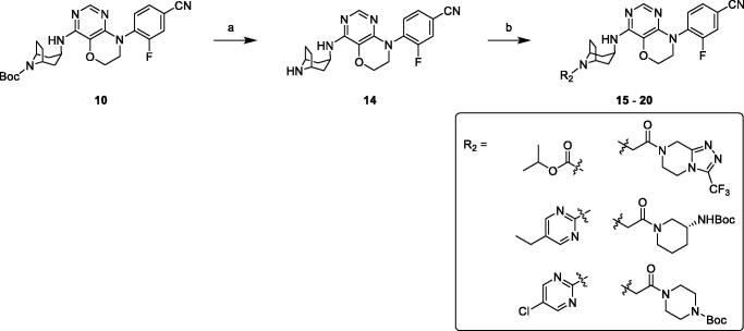 Scheme 2.