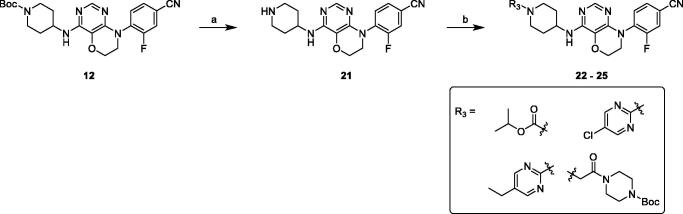 Scheme 3.