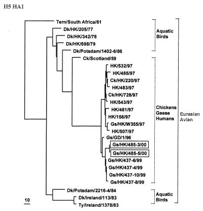 FIG. 1.