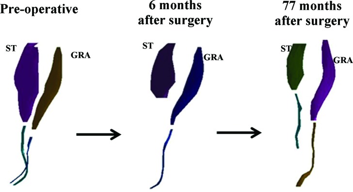 Figure 6.