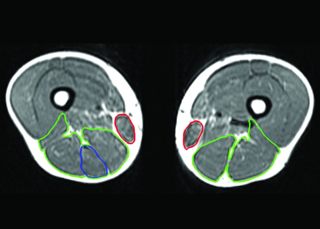 Figure 5.