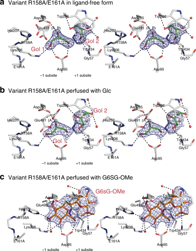 Fig. 7