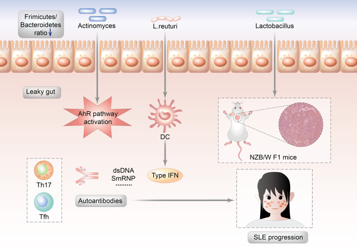 Figure 2