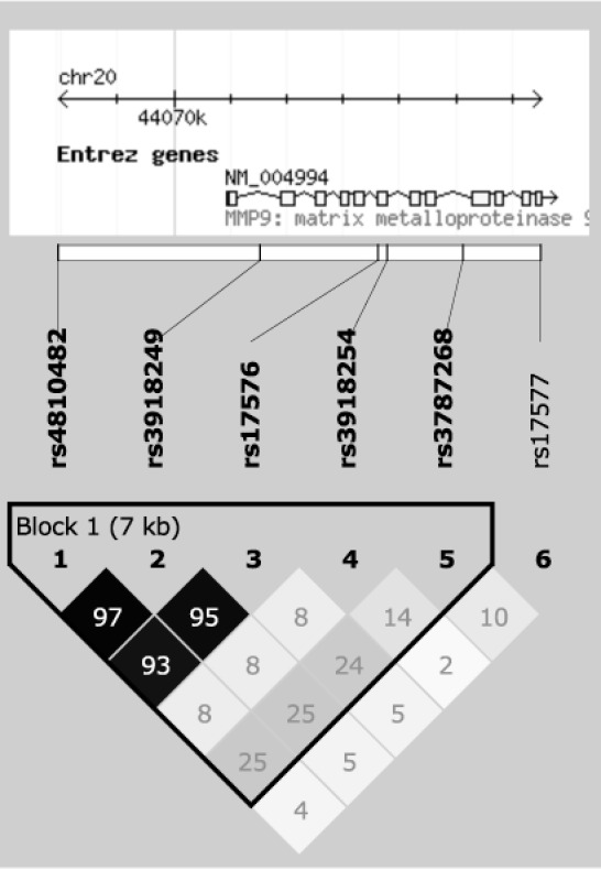 Fig 1