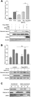 FIG 6