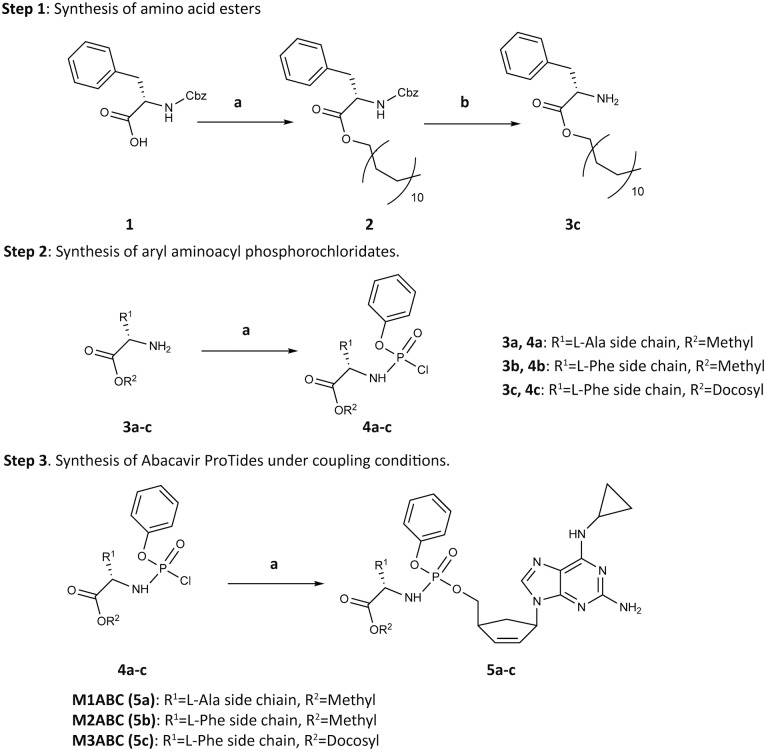 Scheme 1