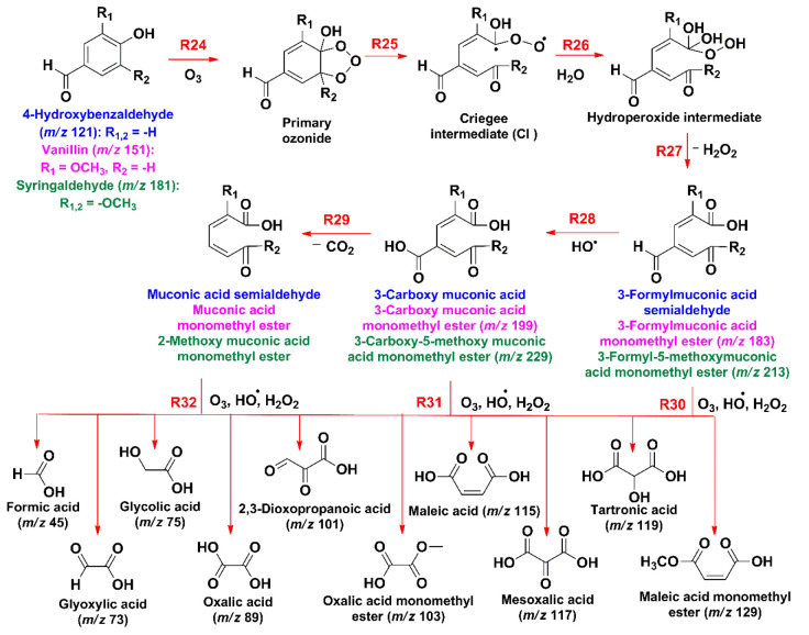 Scheme 2