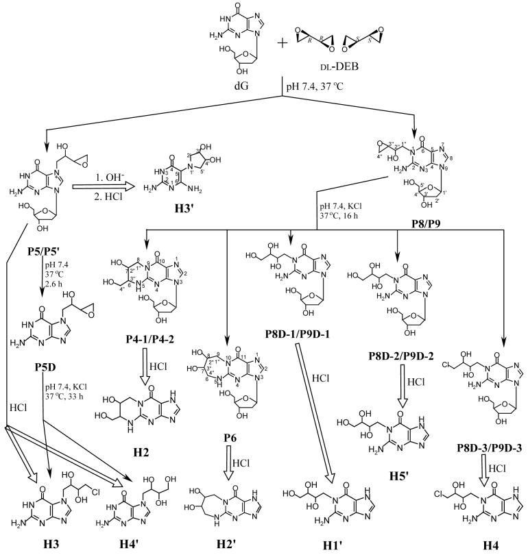 Scheme 1