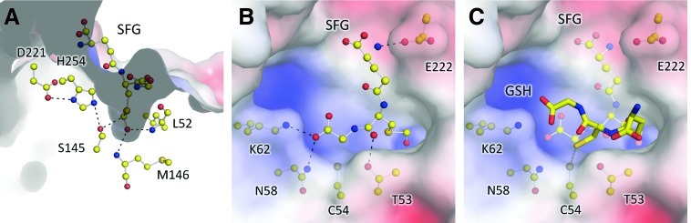 FIG. 6.