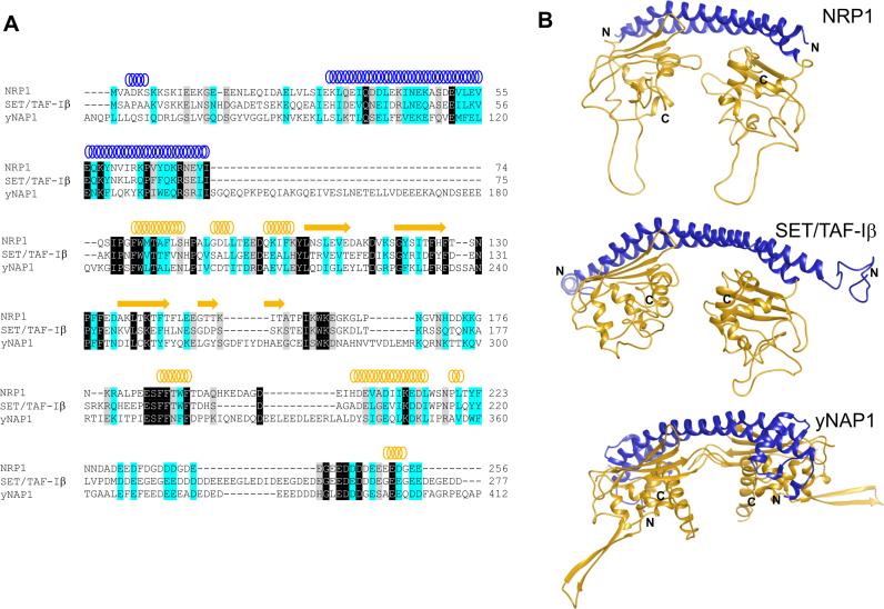 Figure 2.