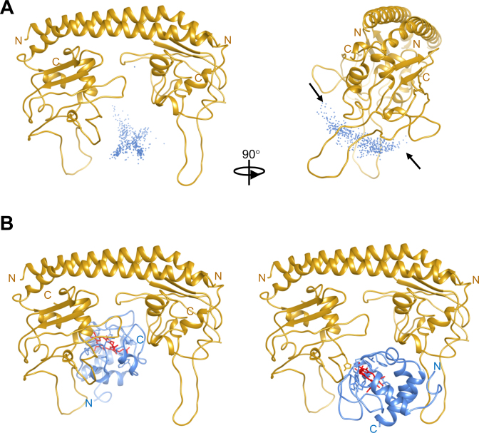 Figure 5.