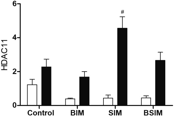 Fig. 6: