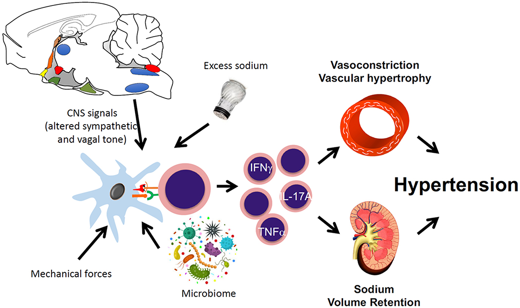 Figure 1: