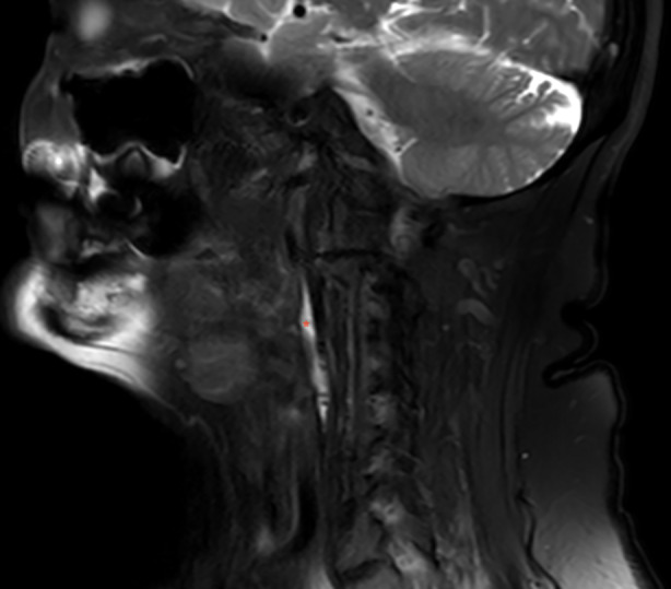 Fig. 4