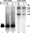 FIGURE 9.