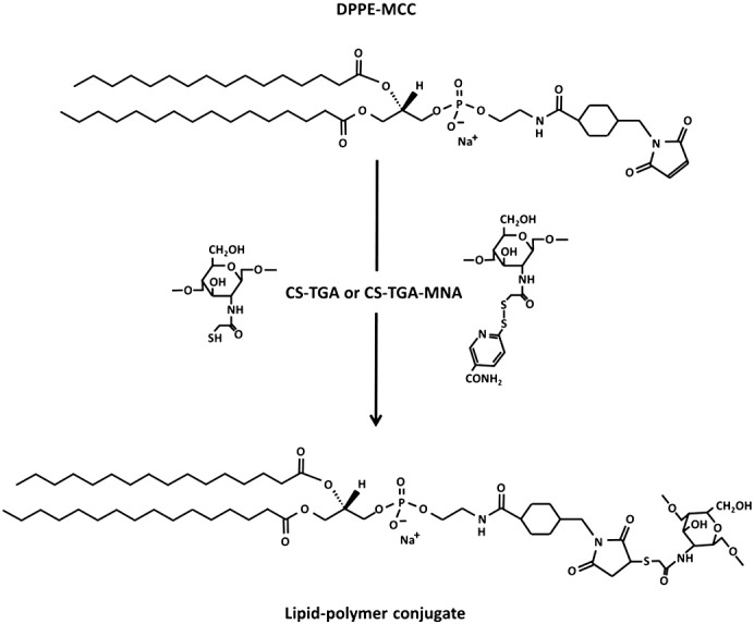 Fig. 1