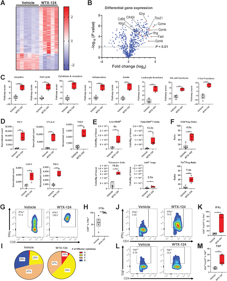 Figure 4. WTX-124 treatment increases immune cell activation and infiltration of MC38 tumors. MC38 tumor cells were implanted and allowed to grow to an average volume of 100–150 mm3 before mice were randomized into treatment groups. Mice were dosed twice a week with WTX-124 (100 μg) or PBS. Tumors were collected 24 hours after the second dose and dissociated for further analysis. A and B, RNA from each tumor was isolated and subjected to immune profiling with the NanoString PanCancer Mouse Immune Profiling Panel. A, Heatmap of transcripts with statistically significant differences in expression between the two treatments. Transcripts were excluded from the heatmap if they had average normalized counts below 50. Each lane represents an individual animal. B, Volcano plot of transcripts differentially expressed between WTX-124 and vehicle-treated mice. C, Specific pathway scores for WTX-124 or vehicle-treated mice. P values are derived from a two-way ANOVA with multiple comparisons (***, P < 0.001; ****, P < 0.0001). D, Normalized gene counts from selected immune checkpoint genes. E, Flow cytometry analysis of TIL density of various immune populations, including fold change information between the vehicle-treated and WTX-124–treated groups. F, The ratio of total CD8+ T cells or tetramer-positive CD8+ T cells to Tregs within the TILs, including fold change information between the vehicle and WTX-124–treated groups. G and H, The frequency of tetramer-positive CD8+ T cells producing IFNγ after restimulation with PMA/Ionomycin. I, The frequency of polyfunctional tetramer-positive CD8+ T cells by examining coexpression of IFNγ, TNF, and granzyme B after PMA/Ionomycin restimulation. The frequency tumor infiltrating FoxP3+ Tregs producing IFNγ (J and K) or TNF (L and M) after PMA/Ionomycin restimulation. Unless otherwise stated, data are presented as the mean ± SD, and P values are derived from t tests (*, P < 0.05; **, P < 0.01; ***, P < 0.001; ****, P < 0.0001). CTLA-4, CTL-associated protein 4; LAG-3, lymphocyte-activation gene 3; Tet, tetramer; TIGIT, T-cell immunoglobulin and ITIM (immunoreceptor tyrosine-based inhibitory motif) domain; TIM-3, T-cell immunoglobulin and mucin domain-containing protein 3.