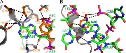 Fig. 3.