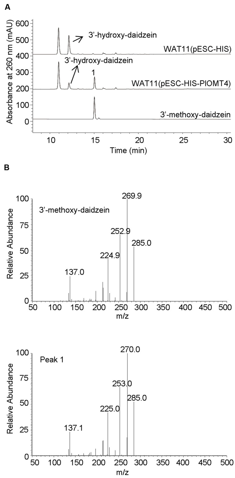 FIGURE 3